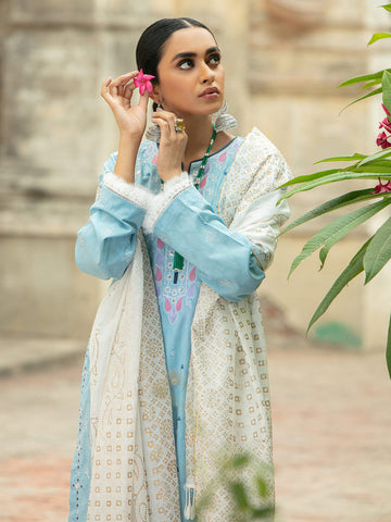 RajBari D 4B Festive Lawn Vol 8 2022 Online Shopping
